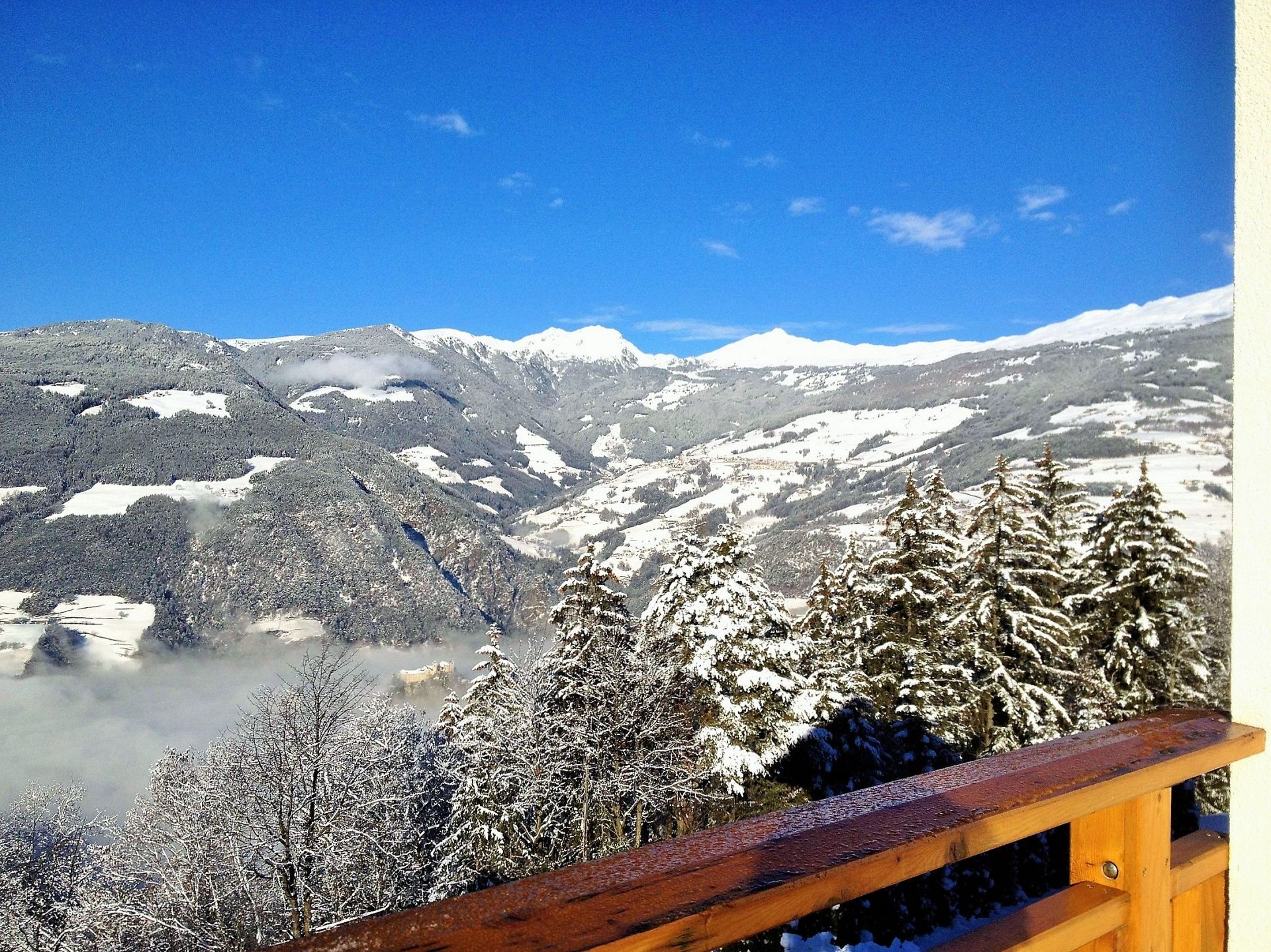 Nuove Foto (10)