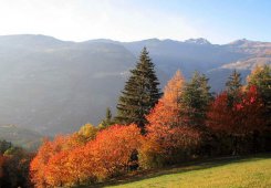 Vacanza autunnale in Alto Adige