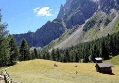 Vacanza a Laion / Alto Adige